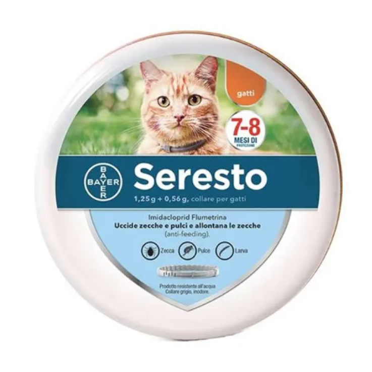 Seresto Collare Gatti 1,25 g + 0,56 g | Imidacloprid e Flumetrina fino a 8 Mesi Seresto Collare Gatti 1,25 g + 0,56 g | Imidacloprid e Flumetrina fino a 8 Mesi