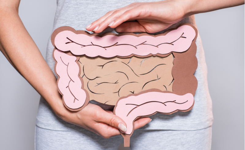 Intestino e cambio stagione: perché a maggio cambia tutto