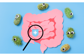 Microbiota intestinale: il segreto nascosto per il tuo benessere