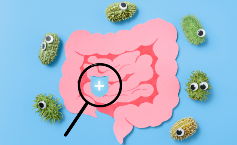 Microbiota intestinale: il segreto nascosto per il tuo benessere Microbiota intestinale: il segreto nascosto per il tuo benessere