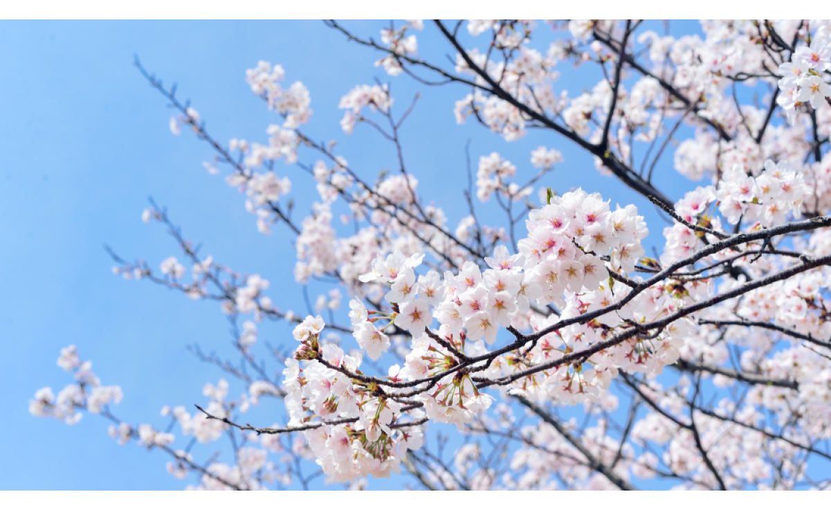 Primavera, come preparare il corpo al cambio stagione