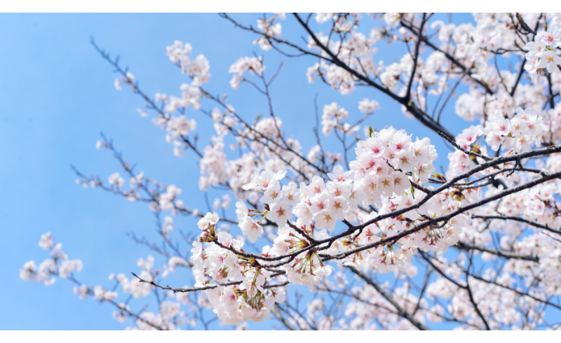 Primavera, come preparare il corpo al cambio stagione