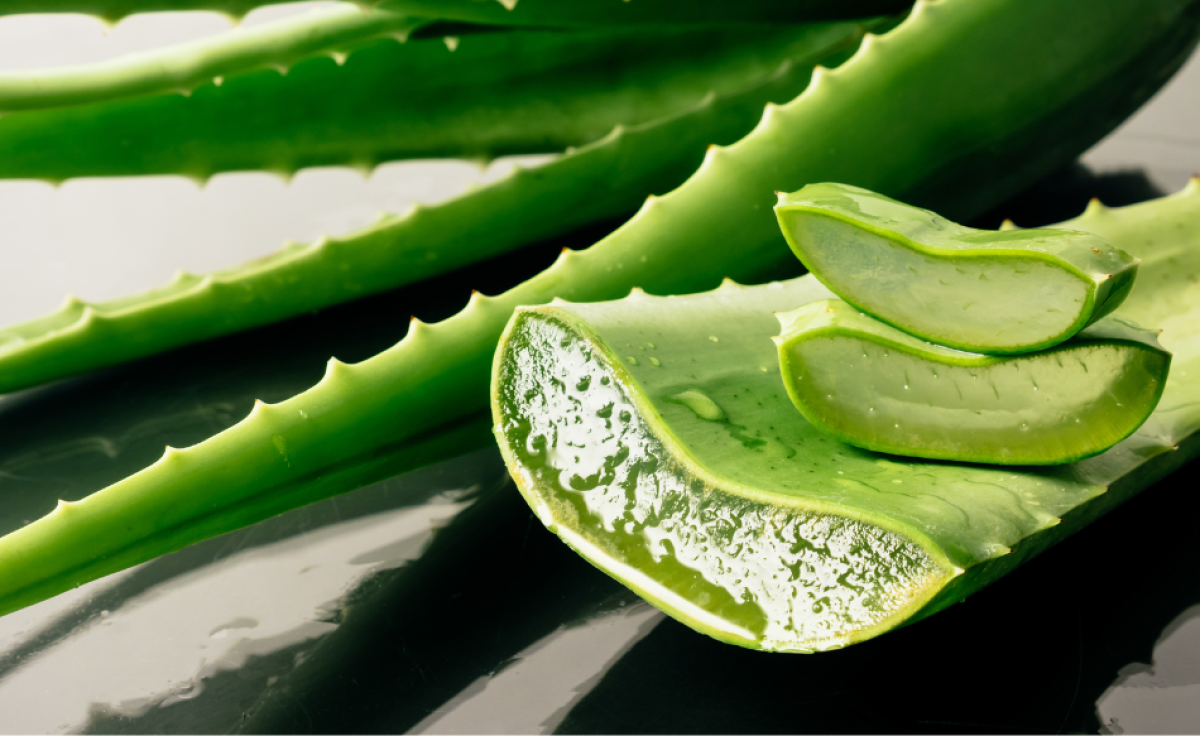 Benefici dei prodotti a base di aloe vera