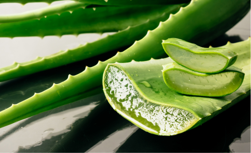 Benefici dei prodotti a base di aloe vera