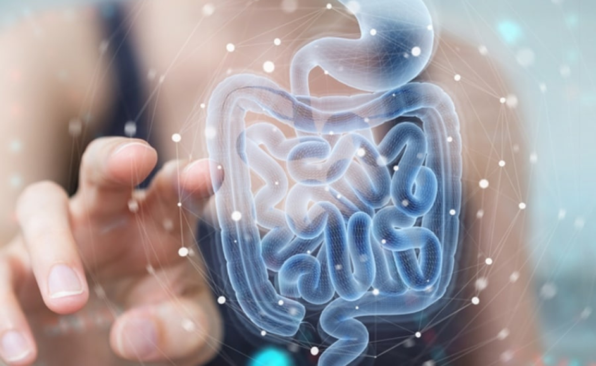 Probiotici: cosa sono? Perchè ne abbiamo bisogno? Probiotici: cosa sono? Perchè ne abbiamo bisogno?