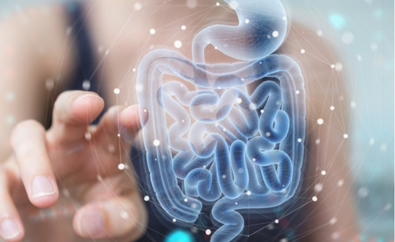 Probiotici: cosa sono? Perchè ne abbiamo bisogno? 
