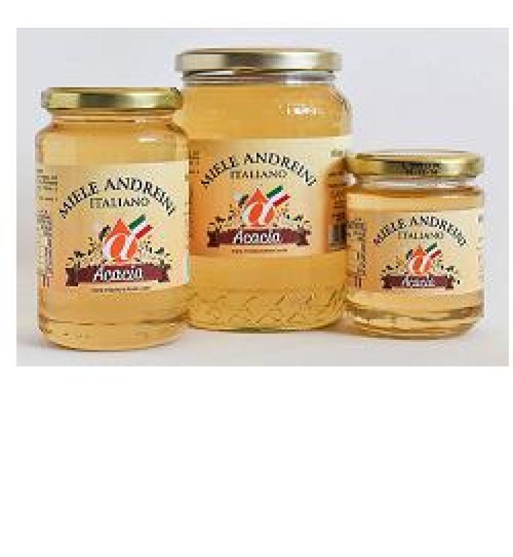MIELE ACACIA BIO 500GR ANDREINI MIELE ACACIA BIO 500GR ANDREINI