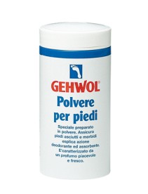 GEHWOL POLVERE PER PIEDI 100 G