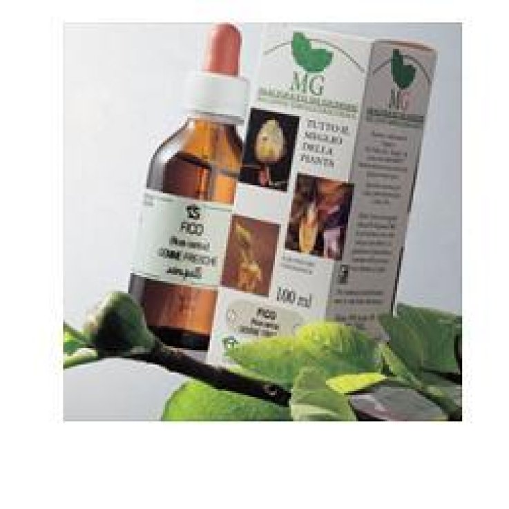 IPPOCASTANO MACERATO GLICERICO 100 ML IPPOCASTANO MACERATO GLICERICO 100 ML