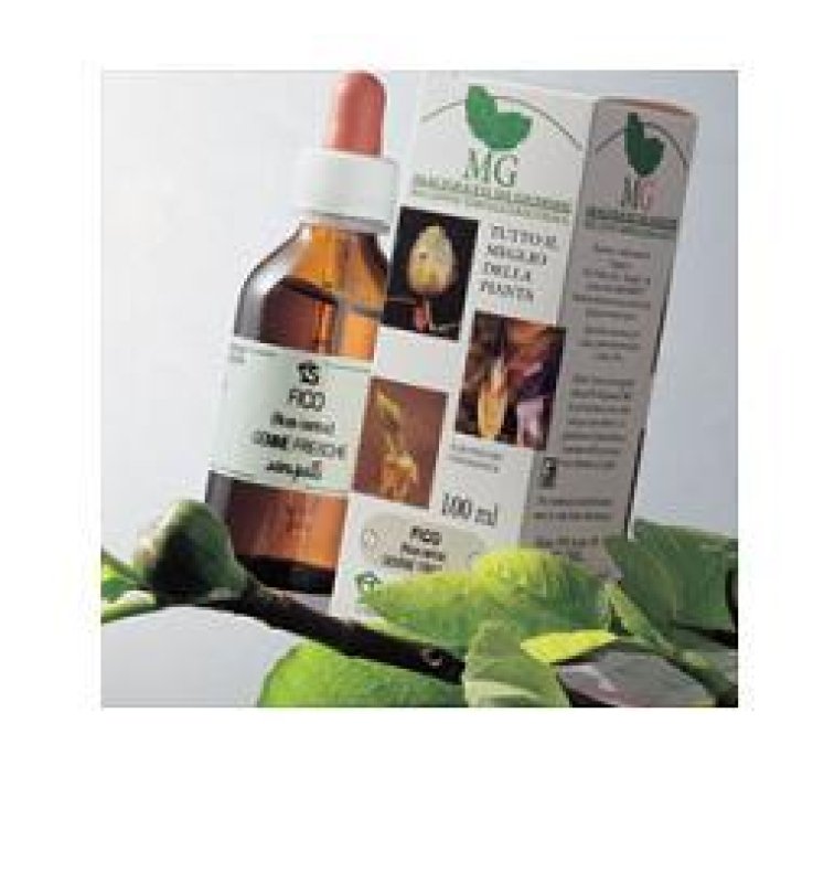 ROSA CANINA MG 100ML SANGALLI