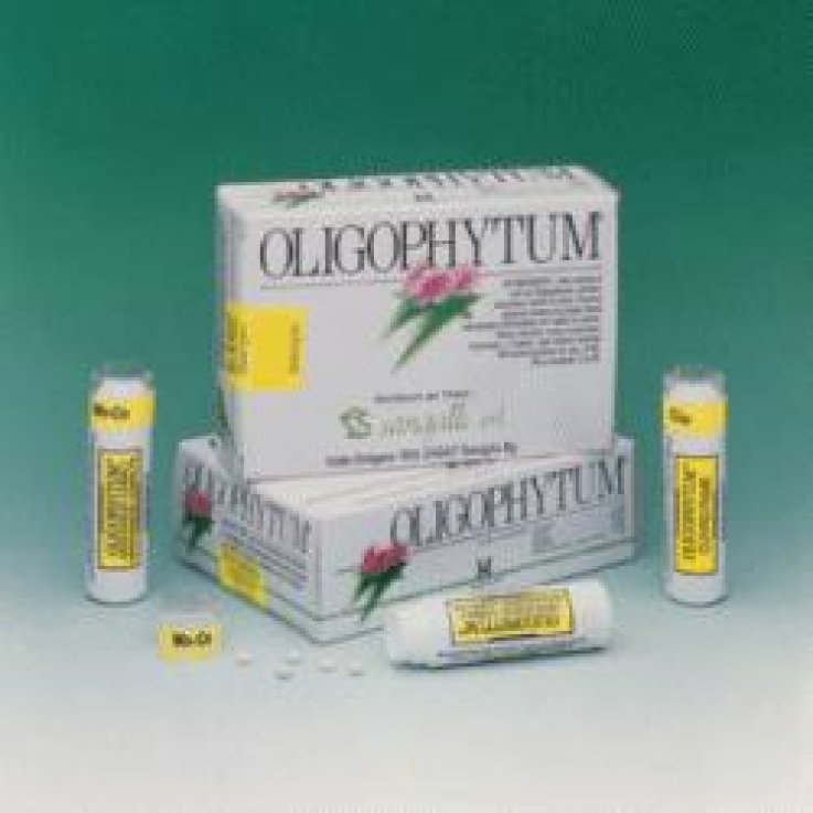 OLIGOPHYTUM RAME (BIANCOSPINO) OLIGOPHYTUM RAME (BIANCOSPINO)