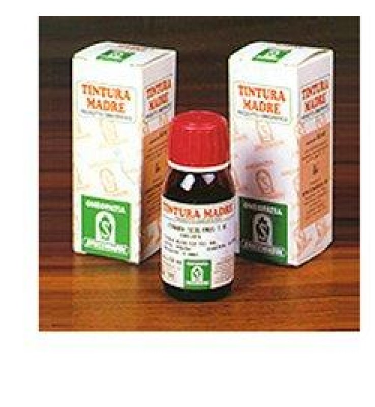 SP.ARTIGLIO DIAVOLO 35 TM 50ml