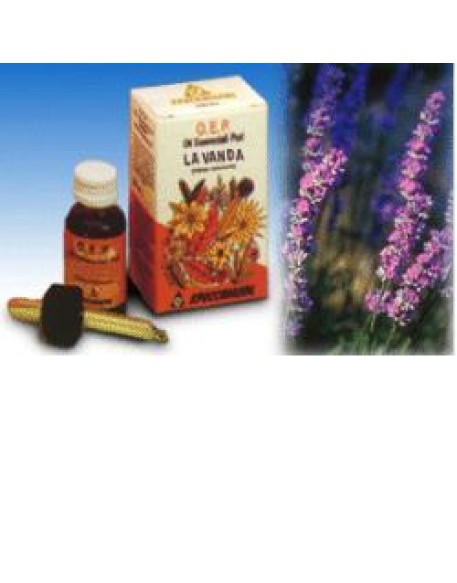 LAVANDA OLIO 10ML SPECCH