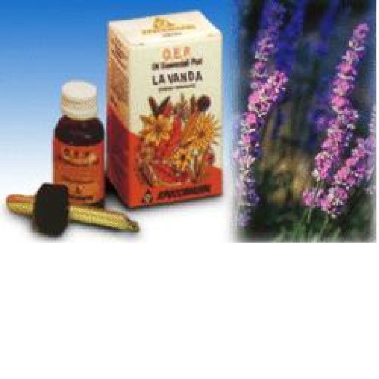 LAVANDA OLIO 10ML SPECCH LAVANDA OLIO 10ML SPECCH
