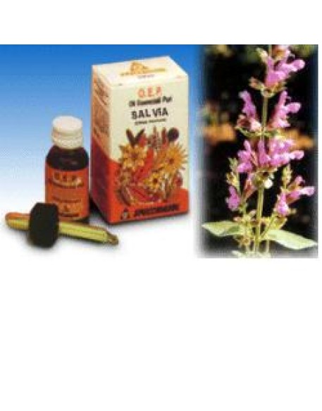 SALVIA OLIO ESS 10ML SPECCH