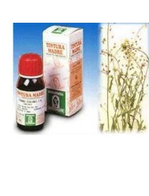 SP.BURSA PASTORIS TM 50ml