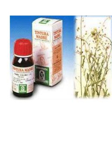 SP.BURSA PASTORIS TM 50ml