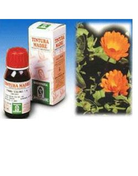 CALENDULA OFF 5 50ML TM SPECCH