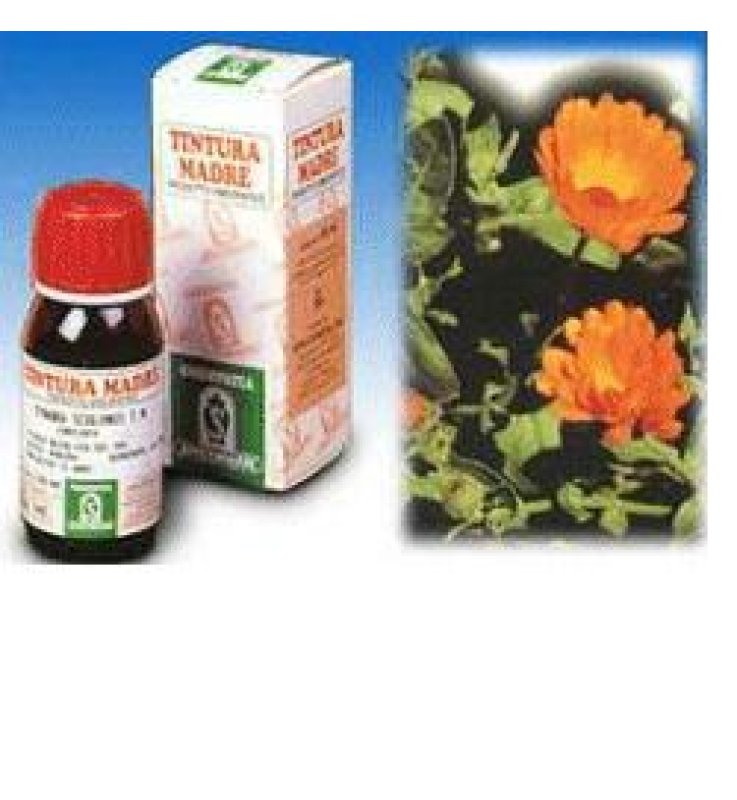 CALENDULA OFF 5 50ML TM SPECCH