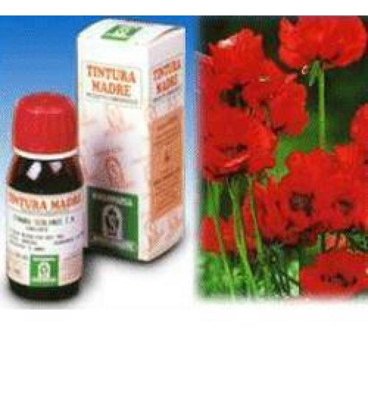 SP.ESCOLZIA(Sol.Idroalc.13)