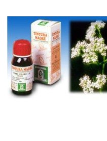 SP.VALERIANA 36 TM 50ml