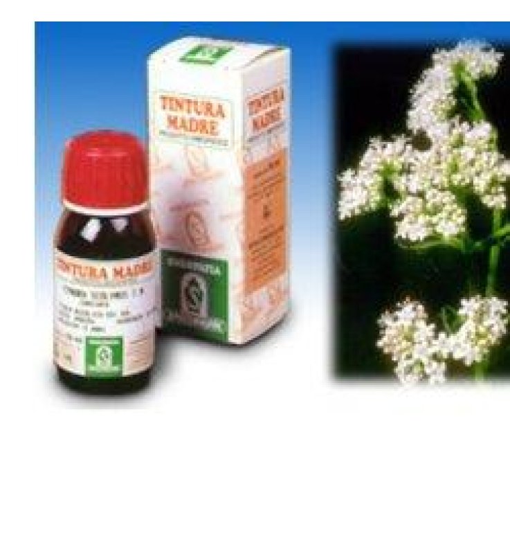 SP.VALERIANA 36 TM 50ml