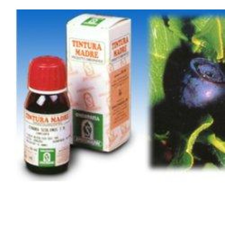 SP.MIRTILLO 31 TM 50ml