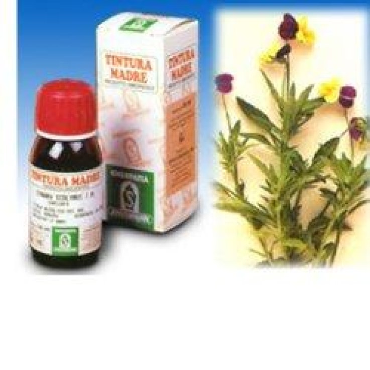 SP.VIOLA TRICOLOR TM 50ml SP.VIOLA TRICOLOR TM 50ml