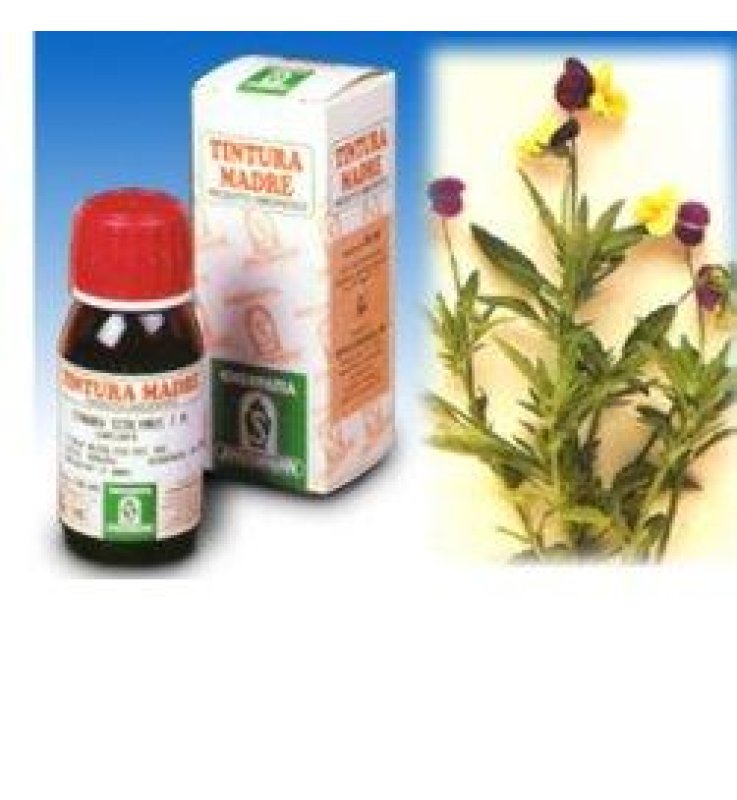 SP.VIOLA TRICOLOR TM 50ml