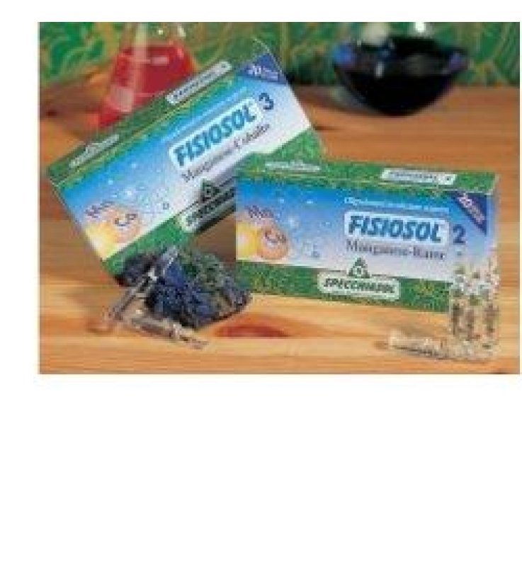 FISIOSOL  6 ZINCO RAME 20F 2ML