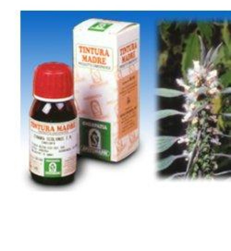 SP.LEONORUS CARDIACA TM 50ml