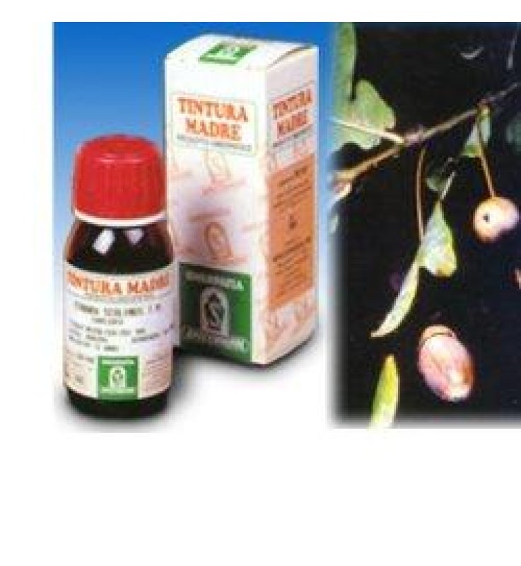 SP.FUCUS VESIC.TM 50ml