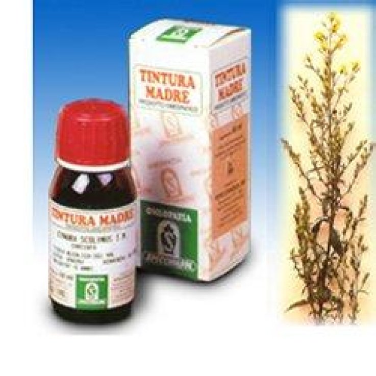 SP.SOLIDAGO VI.AUR.TM 50ml SP.SOLIDAGO VI.AUR.TM 50ml