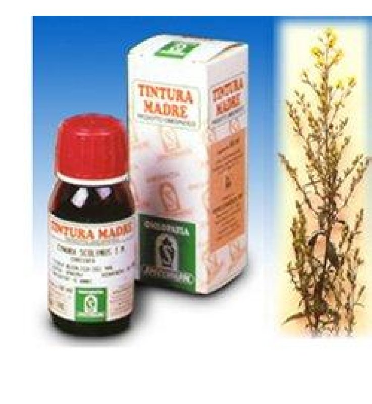 SP.SOLIDAGO VI.AUR.TM 50ml