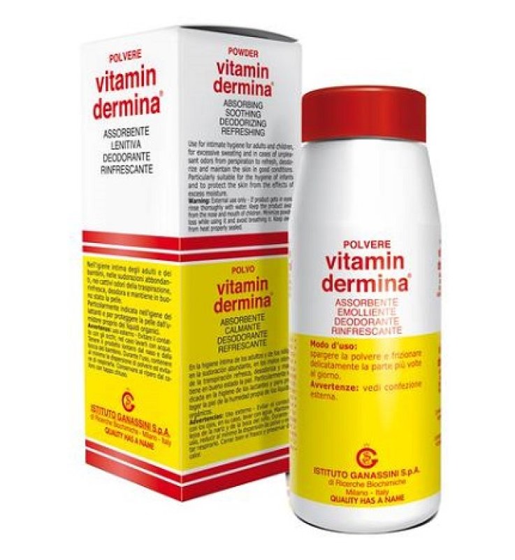 VITAMINDERMINA POLVERE 100 G VITAMINDERMINA POLVERE 100 G
