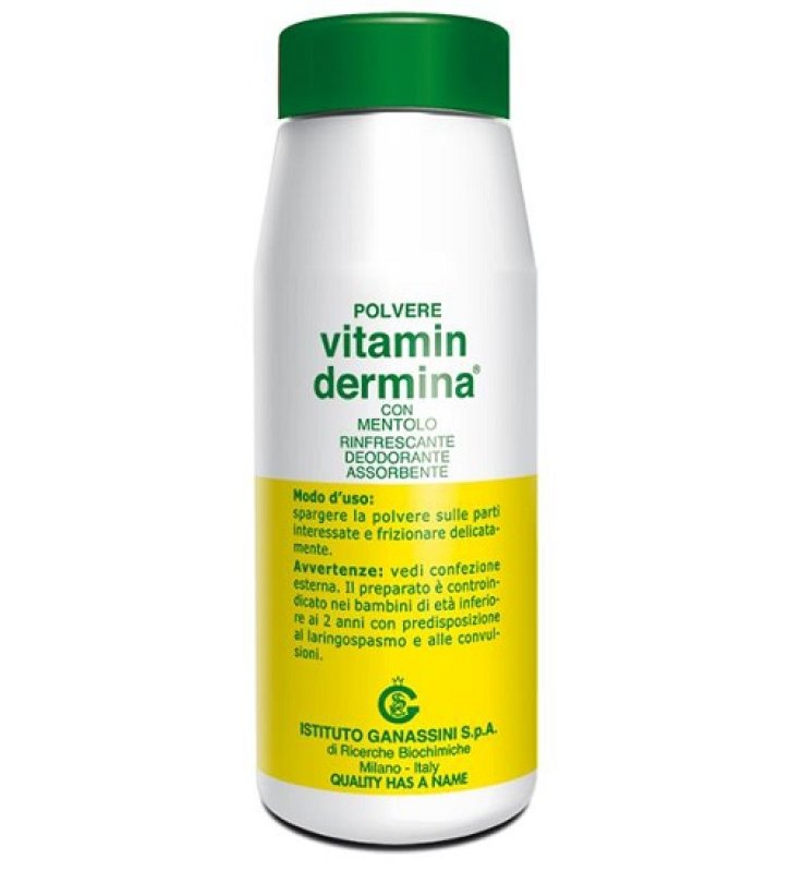 VITAMINDERMINA POLVERE MENT 100 G VITAMINDERMINA POLVERE MENT 100 G
