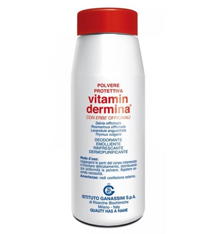 VITAMINDERMINA POLVERE PROT 100G VITAMINDERMINA POLVERE PROT 100G
