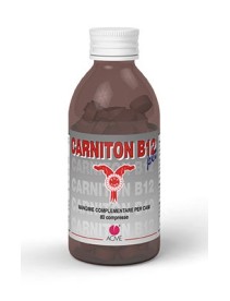 CARNITON B12 Pet 80 Cpr x Cani
