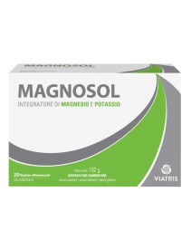 MAGNOSOL 20 BUSTINE EFFERVESCENTI