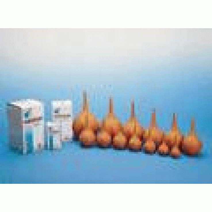 SCHIZZETTO Gomma 2 35ml F/C SCHIZZETTO Gomma 2 35ml F/C