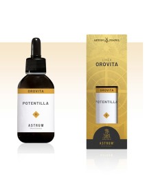 POTENTILLA MAC SPAGIR ASTRUM