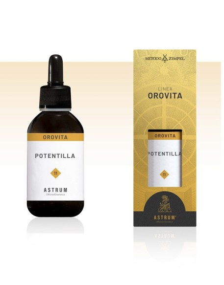 POTENTILLA MAC SPAGIR ASTRUM
