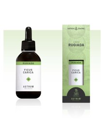 FICUS CARICA MAC.SPAGIR ASTRUM