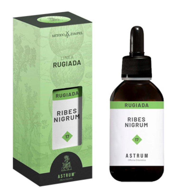 RIBES NIGRUM MAC SPAGIR ASTRUM RIBES NIGRUM MAC SPAGIR ASTRUM