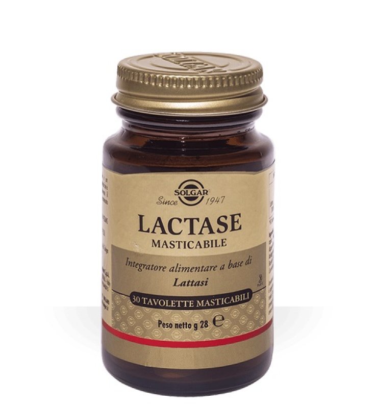 LACTASE 3500 30TAV MAST SOLGAR LACTASE 3500 30TAV MAST SOLGAR