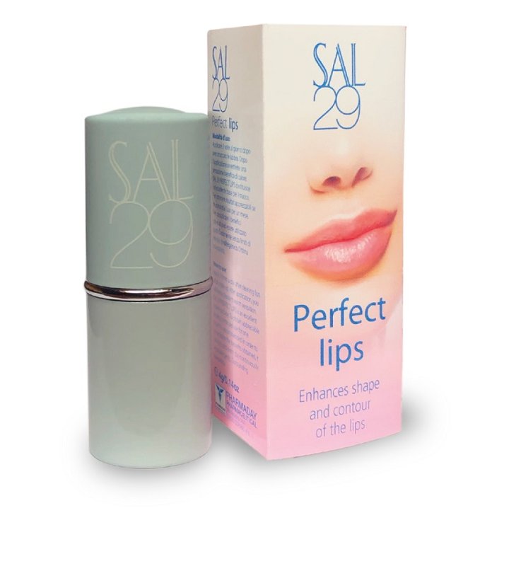 SAL 29 PERFECT LIPS VOLUM/RISTR