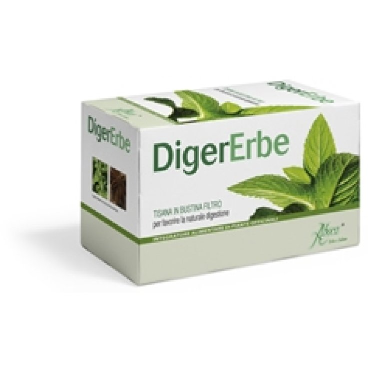 DIGERERBE 20 FILTRI TISANA 40 G DIGERERBE 20 FILTRI TISANA 40 G