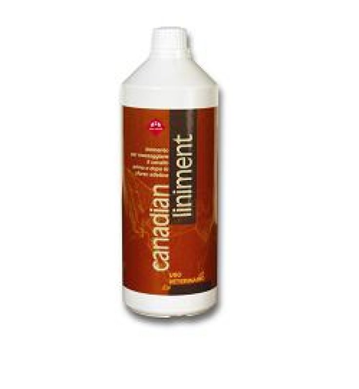V CANADIAN LINIMENT FL 1000ML