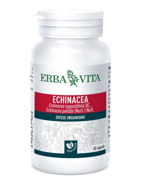 ECHINACEA 60 CAPSULE 500 MG