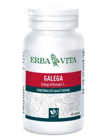 GALEGA 60 CAPSULE